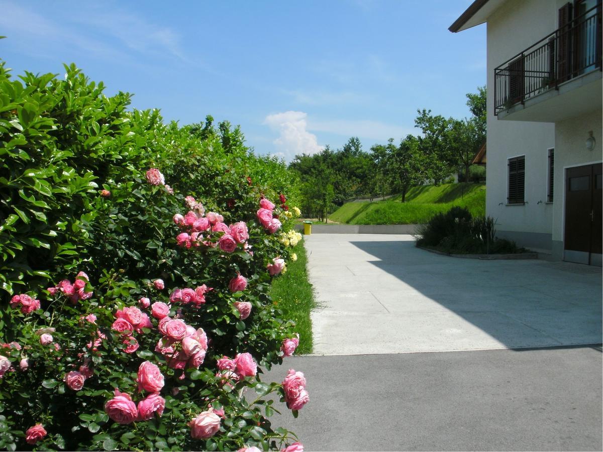 Relax Sea View Apartment Laguna 97 伊佐拉 外观 照片